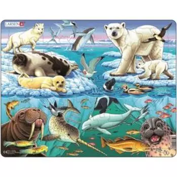 Пазл «Арктика», 75 деталей (FH11)
