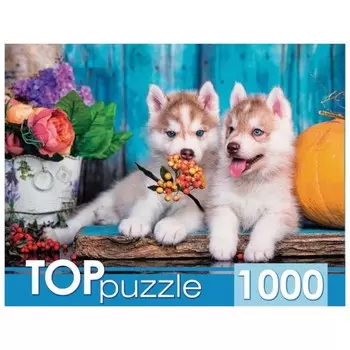 Пазл «Два щенка хаски», 1000 элементов