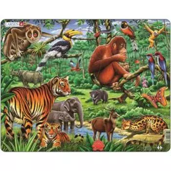 Пазл «Джунгли», 20 деталей (FH24)