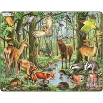 Пазл "Европейский лес", 40 деталей (FH17)