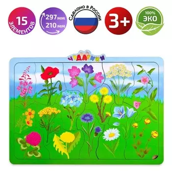 Пазл-головоломка «Цветы полевые»