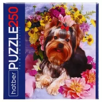 Пазл «Йоркширский терьер», 250 элементов