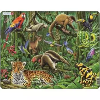 Пазл «Южно-Американские тропики», 70 деталей (FH10)