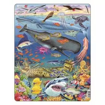 Пазл «Киты», 66 деталей (FH20)