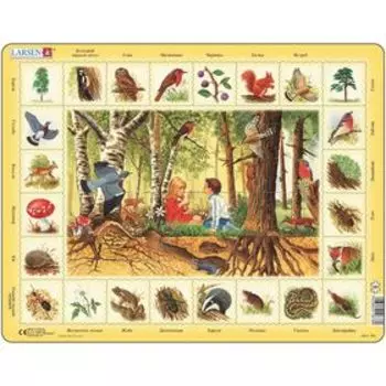 Пазл «Лес», 48 деталей (NA4)
