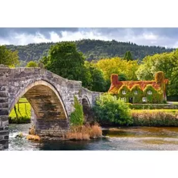 Пазл «Местечко в Уэльсе», 1000 элементов