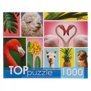 Пазл «Модный коллаж», 1000 элементов