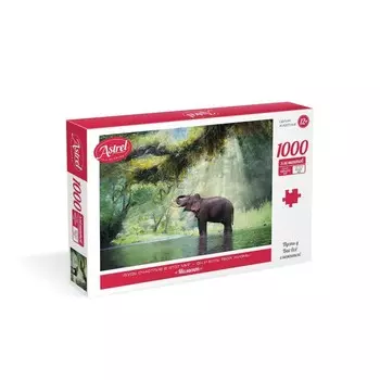 Пазл «Момент», 1000 элементов