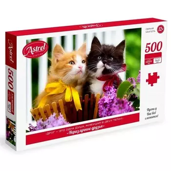 Пазл «Неразлучные друзья», 500 элементов