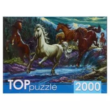 Пазл «Ночной табун лошадей», 2000 элементов