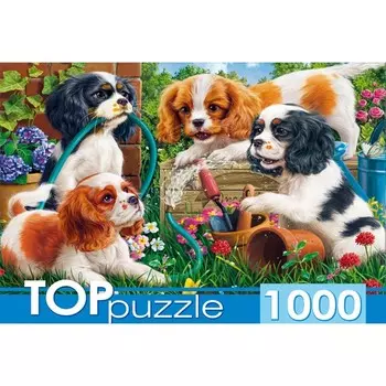Пазл «Озорные щенки спаниелей», 1000 элементов