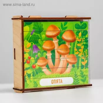 Пазл - палочки «Грибы»