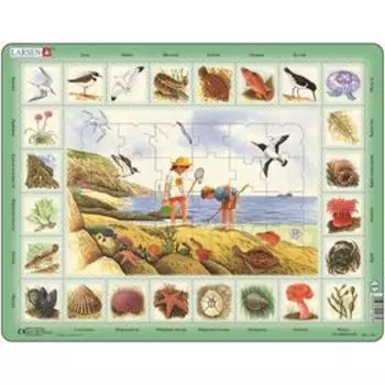 Пазл «Побережье», 48 деталей (NA2)