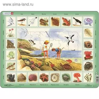 Пазл «Побережье», 48 деталей (NA2)