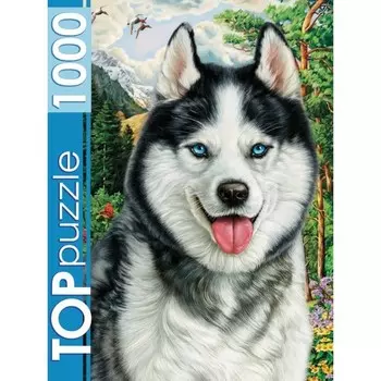 Пазл «Портрет хаски», 1000 элементов