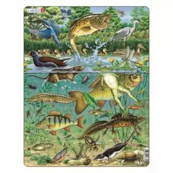 Пазл «Пруд», 50 деталей (FH19)