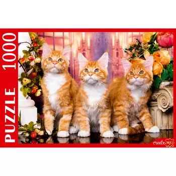 Пазл «Рыжие мейн-куны», 1000 элементов