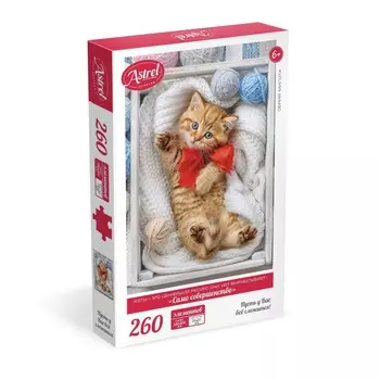 Пазл «Само совершенство», 260 элементов