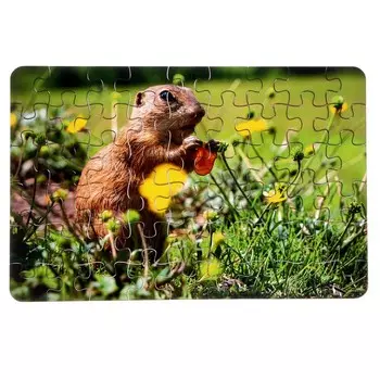 Пазл серия фантазия «Лесной зверек», 54 детали, размер — 28 18,5 см