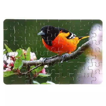 Пазл серия фантазия «Птица», 54 детали, размер — 28 18,5 см