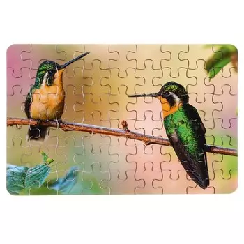 Пазл серия фантазия «Птицы», 54 детали, размер — 28 18,5 см