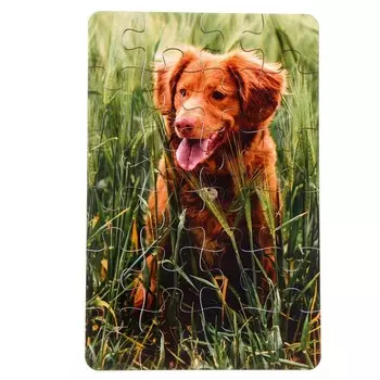 Пазл серия фантазия Собачка», 24 детали, размер — 28 18,5 см