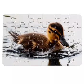 Пазл серия фантазия «Уточка», 24 детали, размер — 28 18,5 см