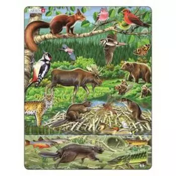 Пазл «Северный лес», 45 деталей (FH15)