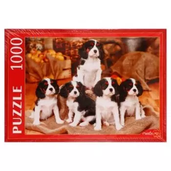 Пазл «Щенки Кавалер-Кинг-Чарльз-Спаниеля», 1000 элементов