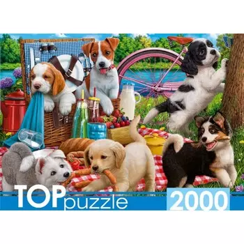 Пазл «Щенки на пикнике», 2000 элементов