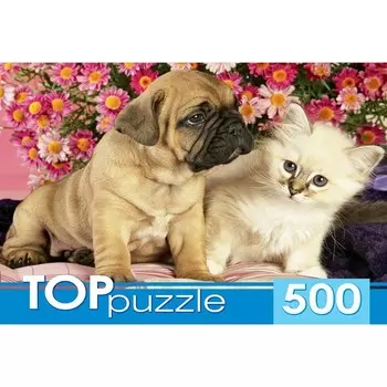 Пазл «Щенок и котёнок», 500 элементов