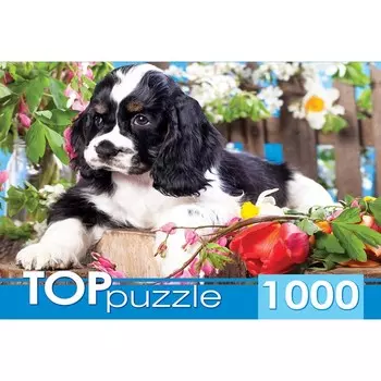 Пазл «Щенок спаниеля в саду», 1000 элементов