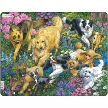 Пазл "Собаки"