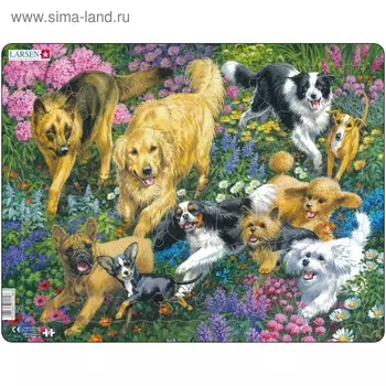 Пазл "Собаки"