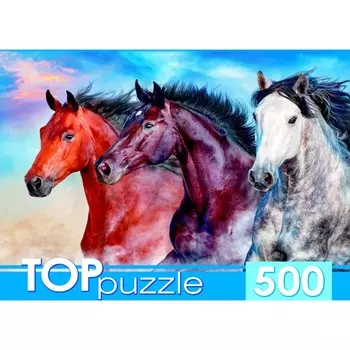 Пазл «Тройка диких скакунов», 500 элементов