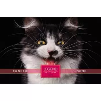 Пазл «Улыбайся», 500 элементов