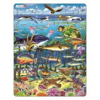 Пазл «Водоросли», 60 деталей (FH13)