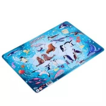 Пазл в рамке «Антарктида», 53 элемента