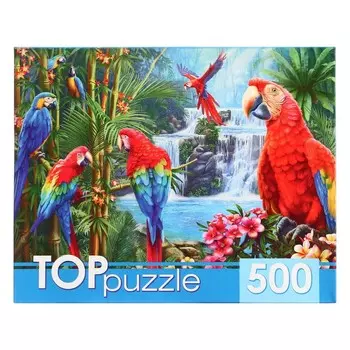 Пазл «Яркие попугаи», 500 элементов