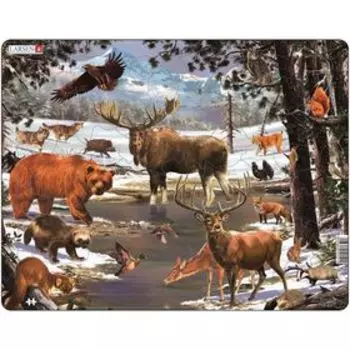 Пазл «Животные Северной Европы», 54 детали (FH32)