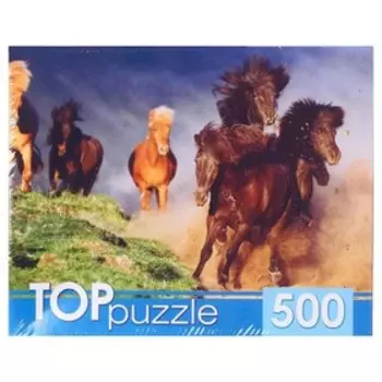 Пазлы «Бегущий табун», 500 элементов