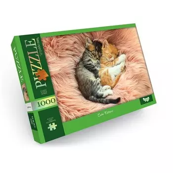 Пазлы картонные «Котята», 1000 элементов