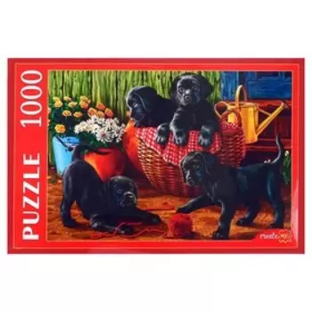 Пазлы «Щенки лабрадора», 1000 элементов