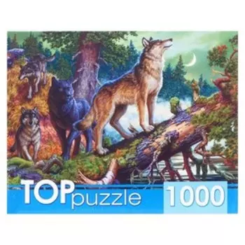 Пазлы «Волки в ночном лесу», 1000 элементов