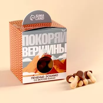 Печенье с глазурью, вкус: какао «Покоряй вершины», 100 г.