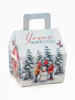 Печенье с предсказанием в коробке-домик «Уютного Нового года», 2 шт.