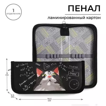 Пенал 1 секция, 90 х 195 х 25 мм, Calligrata "Умный кот", ламинированный картон