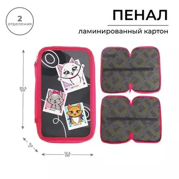 Пенал школьный, 2 секции, 12.520.54 см «Котята»