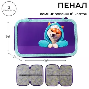 Пенал школьный, 2 секции, 12.520.54 см «Сиба»