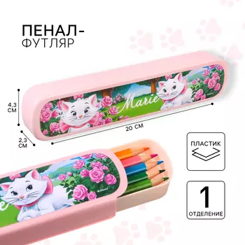 Пенал-футляр пластиковый, 4320023 мм, выдвижной, «Коты аристократы»